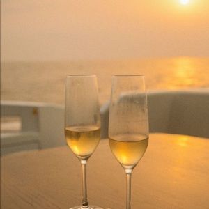 Meet your Posher, Daisy